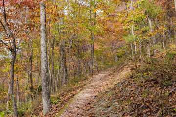 Sunny view of the beautiful fall color of Hobbs State Park-Conservation Area
