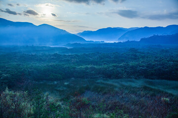 奄美, 早朝の霧に覆われたマングローブ