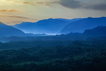 奄美, 早朝の霧に覆われたマングローブ