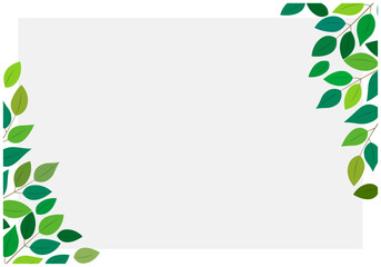 緑の葉っぱ美しい新緑フレーム背景15