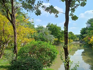 green trees and lake beauty nature in Thailand garden