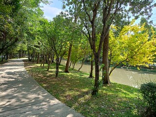 walkway and green trees beauty nature in garden Thailand