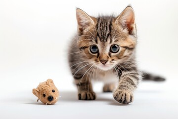 Charming young tabby kitten caught leaping joyfully, playing with a toy mouse in soft, evenly lit surroundings on a white backdrop