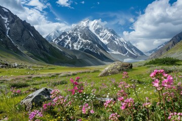 picturesque mountain vista with snow-capped peaks and alpine meadows