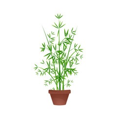 decorative bamboo tree in a clay pot