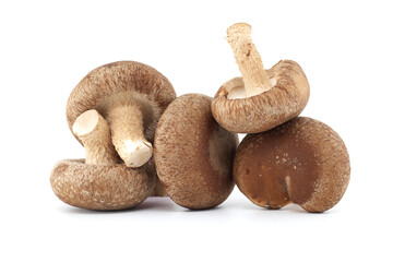 Shiitake mushrooms in close up isolated on white background