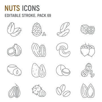Nuts line icon set, seeds collection, vector graphics, logo illustrations, nuts vector icons, snack food signs, outline pictograms, editable stroke