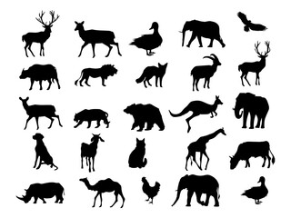 Zoo animals silhouette vector illustration. Wildlife Africa safari collection. Isolated on white background.