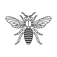Bee outline black icon. Clipart image isolated on white background. Graphic illustration of insect silhouette vector drawing for honey products, package, design. © mantradeva