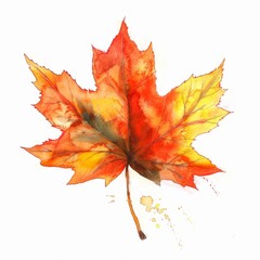 Fototapeta premium Watercolor painting of a vibrant maple leaf in shades of red, orange, and yellow, on isolated white background, Generative AI