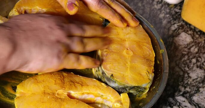 Preparing hilsa fish cut pieces for Asian Bengali cooking frying rubbing messaging marinate with salt yellow turmeric cumin spice