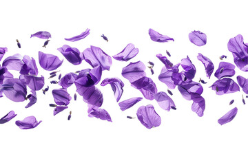 Fototapeta premium Colorful flower pattern with flying butterfly and bird silhouette for spring design