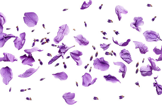 purpple flower with fying and flower elements for spring design
