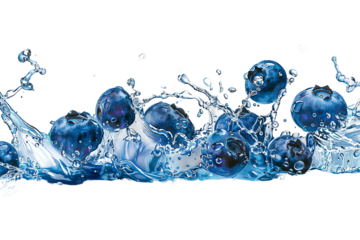 A blueberry reflects the light shining on it,with splashing water juice