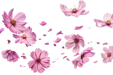 Pink floral pattern with butterfly and leaf accents for spring design