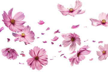 Pink floral pattern with butterfly and leaf accents for spring design