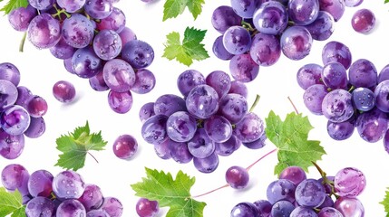 Concord grapes are a popular variety of grape that is great for eating fresh, making juice, or using in wine. They are a dark purple color and have a sweet, slightly tart flavor. - obrazy, fototapety, plakaty
