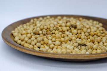 portrait of coriander used for seasoning 