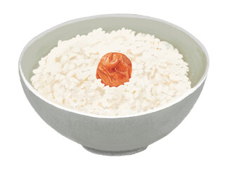 梅干しご飯（箸なし）