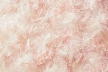 Fototapeta premium Soft, ethereal close-up of pink dandelion seeds, offering a delicate and dreamy texture with a subtle pink hue.