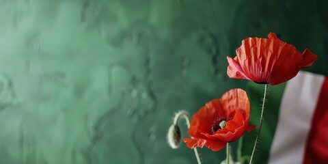 Artistic composition of red poppies against a textured green and red background, Red poppy flowers on green background with Italy flag. Liberation day holiday. Festa della liberazione