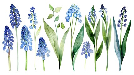 flower and leaves with watercolor assets on a white background,flower and nature motifs