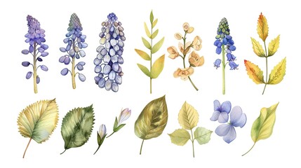 flower and leaves with watercolor assets on a white background,flower and nature motifs