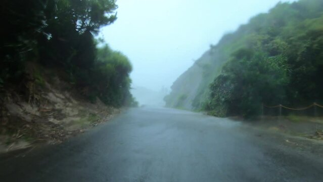 Fierce Hurricane Wind Lashes Car On Coastal Road - Haishen