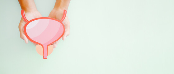 Hands holding bladder, cystitis, urethritis and Urinary Incontinence, bladder cancer concept