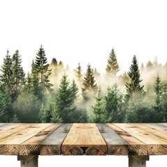 camping wooden tabletop, empty wood table top in green forest 