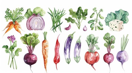 A watercolor illustration of an assortment of vegetables on white background, in the style cute and quirky, illustration clipart with isolated white backgrounds.