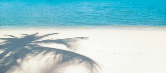 Palm leaf shadow on smooth sand. Beach banner background.