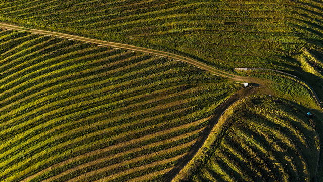 DOURO PORTUGAL