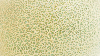 Surface of Cantaloupe melon skin background, Close up of melon textured