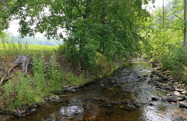Mountain Creek in Pine Grove Furnace State Park, Pennsylvania
