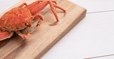 crab on the cutting board. female snow crab....