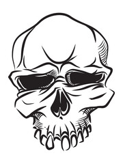 Skull with a smile. Human skull