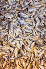 Dried fish are being processed in a food factory