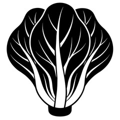black and white bok choy vector illustration silhouette