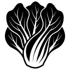 Bok Choy vector illustration silhouette