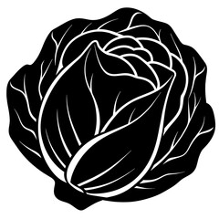 illustration of a cabbage vector silhouette
