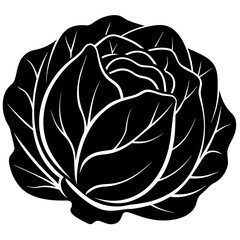 Cabbage vector art silhouette illustration 