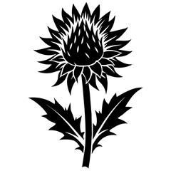 black silhouette of a flower cardoon vector art illustration