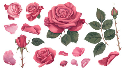 Set of rose elements including a blooming rose, rose buds, petals, and leaves