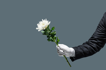 양복을 입은사람이 흰 국화꽃을 들고 있다. 장례식을 상징한다.