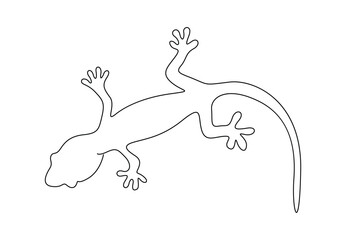 Gecko continuous one line drawing. Isolated on white background vector illustration