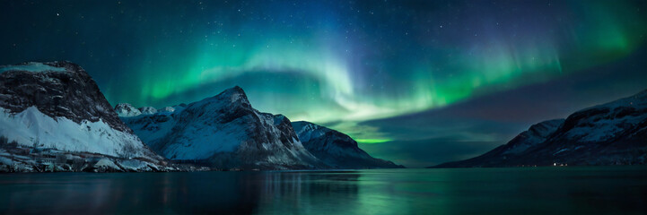 Naklejka premium northern lights on the lake