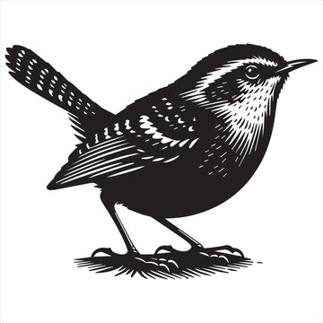 recommend clip art: wren bird silhouette vector art illustration with white background