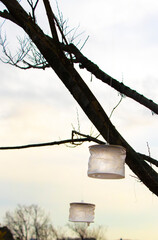 木にくくられた紙製のランタン