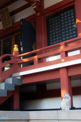 日本の神社と猫